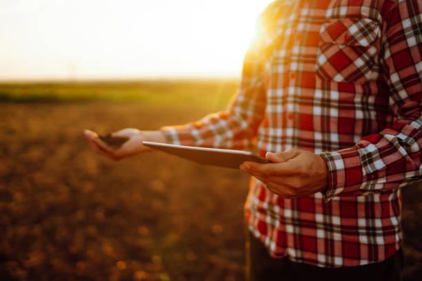 istock The farmer's hands collects the soil 1507129492