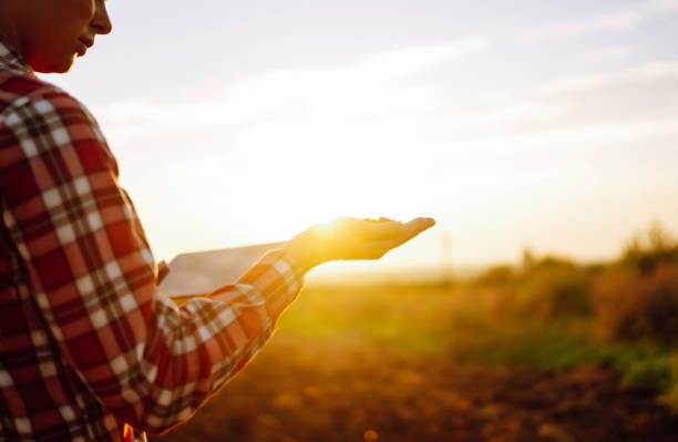istock The farmer's hands collects the soil 1507129494