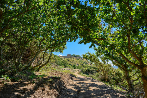 vue depuis le sentier de randonnée côtier « kyststi » jusqu’aux ruines de la forteresse « hammershus » - hammershus photos et images de collection