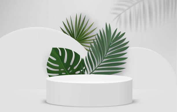 istock Bright interior with podium and green leaves. Eco friendly product showcase template. 3d vector background 1507153630