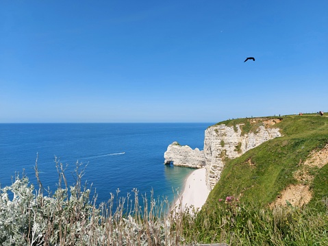 cliff along the coastline