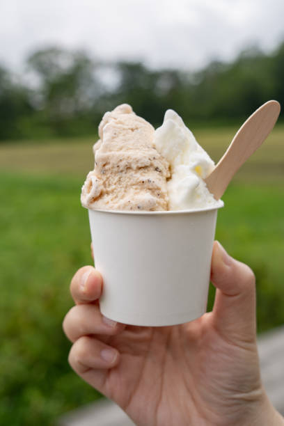 istock Milk Gelato at the Ranch 1507179176
