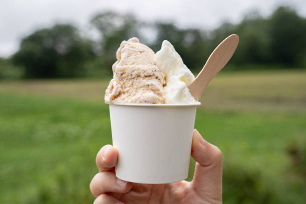 istock Milk Gelato at the Ranch 1507179183