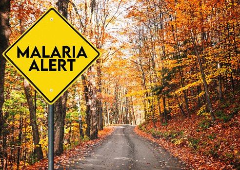 Malaria Alert street sign on the road