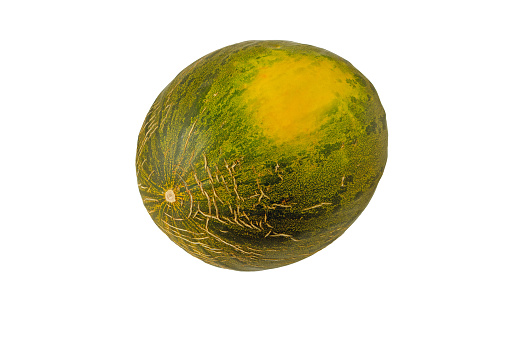 Ripe sweet whole melon fruit with cracked skin isolated on white.