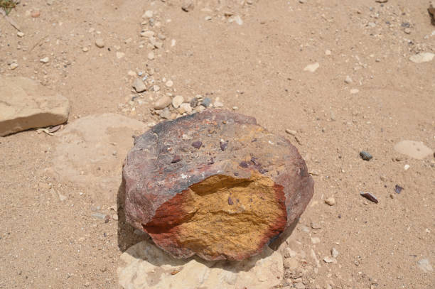 istock Timna National Park Various sand rock formations close-up - Eilat, Israel. 1507216723