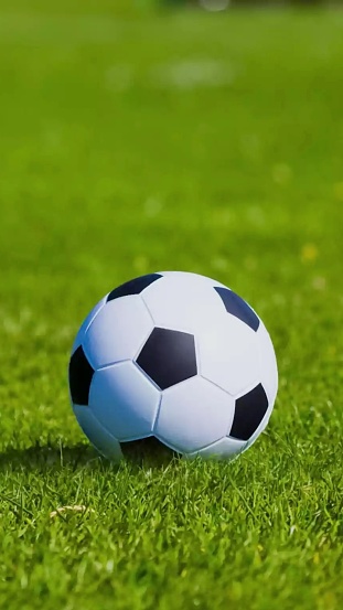 View of soccer ball on the grass