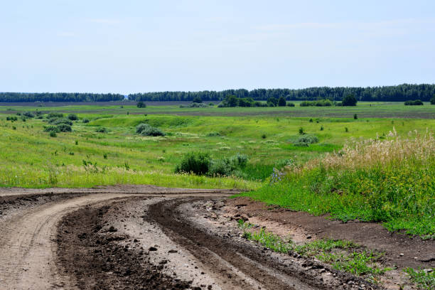istock dirty single lane road going down the hill with green grass, copy space 1507221788