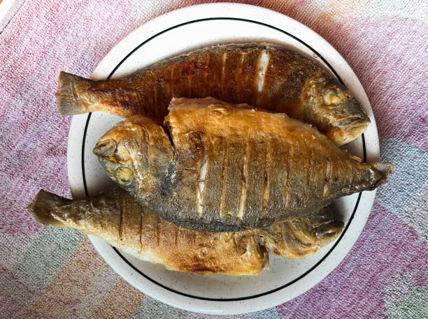 three fried dorado fish lie on a white plate. top view