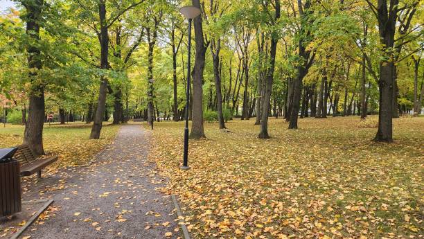 istock Beautiful Autumn Scene in Tallinn 1507227140