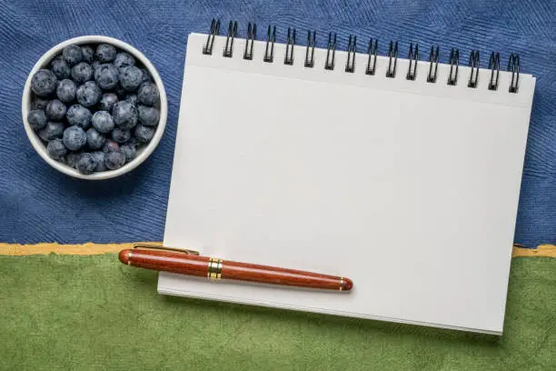 blank spiral sketchbook with white pages with a pen and a cup of blueberries against colorful abstract paper landscape