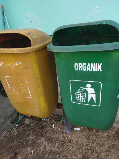 istock Different colored trash cans with non organic and organic waste suitable for recycling, outside against plant. 1507227866