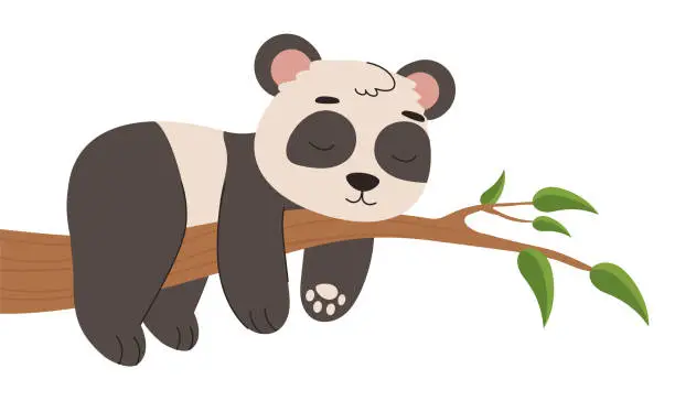 Vector illustration of Cute panda on branch concept