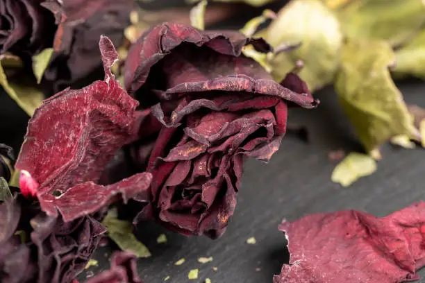 Photo of An old dry rose with crumbs from dry petals