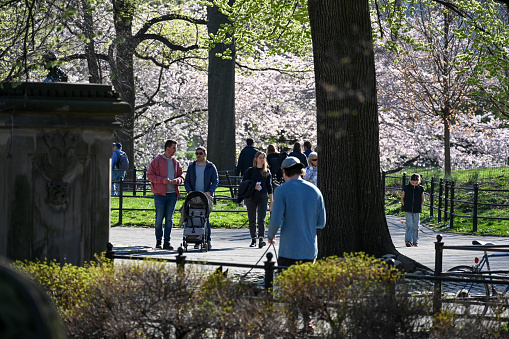New York, USA, April 10, 2023 - Tourists and locals stroll along the Mall and Literary Walk in Central Park, midtown Manhattan, New York City.