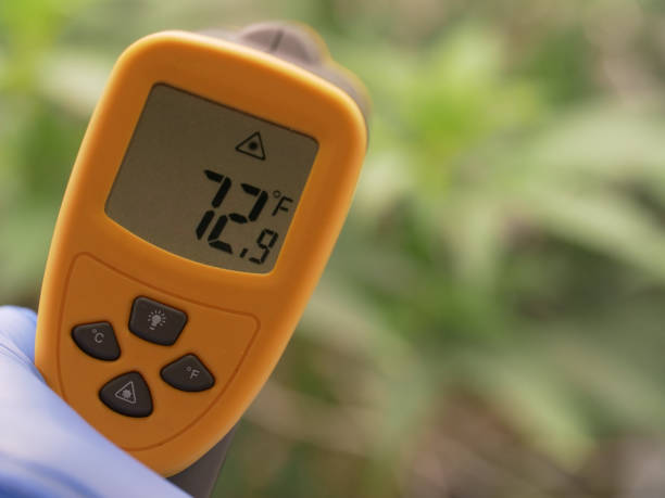 Hand Holding Infrared Thermometer Over Green Foliage