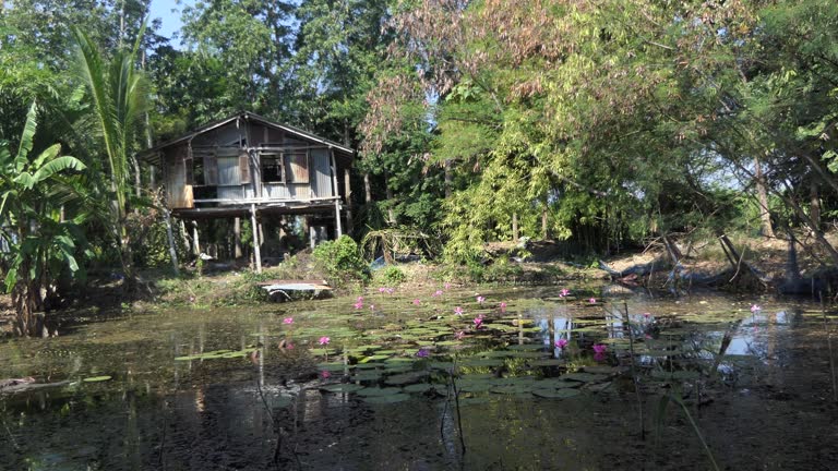 Abandoned house in the forest