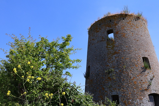 Ruins of an ancient mill inf the swamp of Audomarois in the north of France