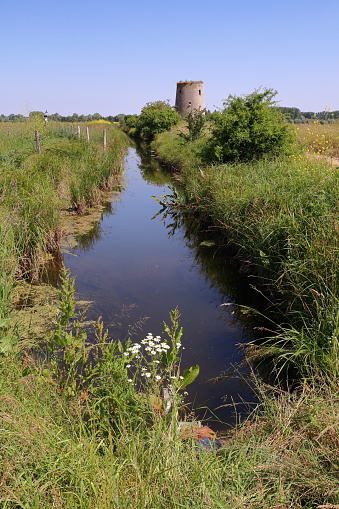 Channel in the swamp  of Audomarois in the north of France