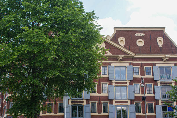 istock Low angle view of a building and tree against the sky 1507286220