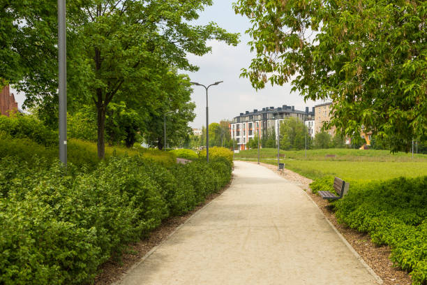 istock Path with bench in the garden. Poznan Poland. 1507327909