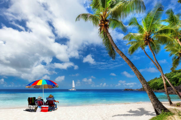 istock Palm trees in beautiful sandy beach with colorful umbrella 1507336420