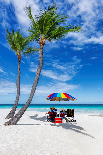 Palm trees in sunny beach with colorful umbrella and beach chairs and the tropical sea in Mauritius island. Summer vacation and tropical beach concept.