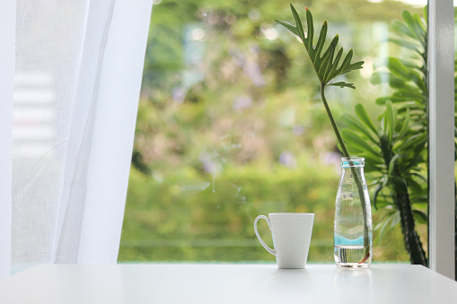 cup of coffee is prepared on table next to glass vase with leaves inserted to decorate table in beautiful modern style. cup of hot coffee on table by window in  morning and copy space for text.