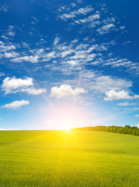 istock Dawn over green wheat field and blue sky. 1507365721