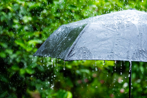 istock Black umbrella under rain against water drops splash background. Rainy weather concept. 1507374821