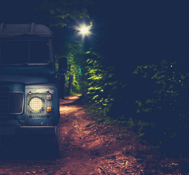 istock Off-Road Vehicle On A Forest Trail 1507383945