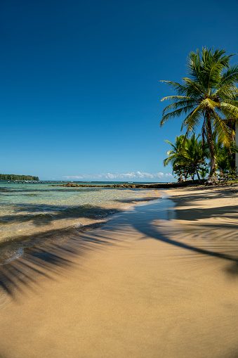 Beach at  Boca del Drago, Bocas del Toro island, Panama - stock photo