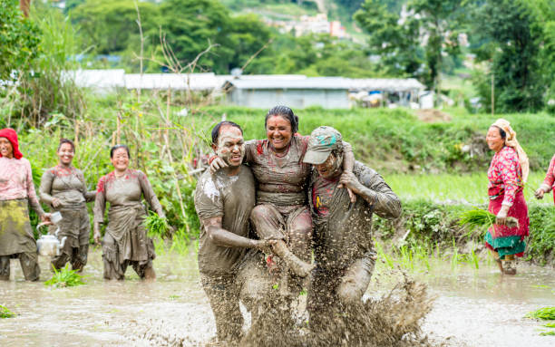 Farmer playing mud and planting paddy seed on Asar 15 paddy festival during monsoon season in Kathmandu,  Nepal, on  Friday June 30, 2023