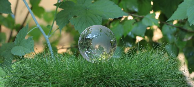glass globe on wet grass