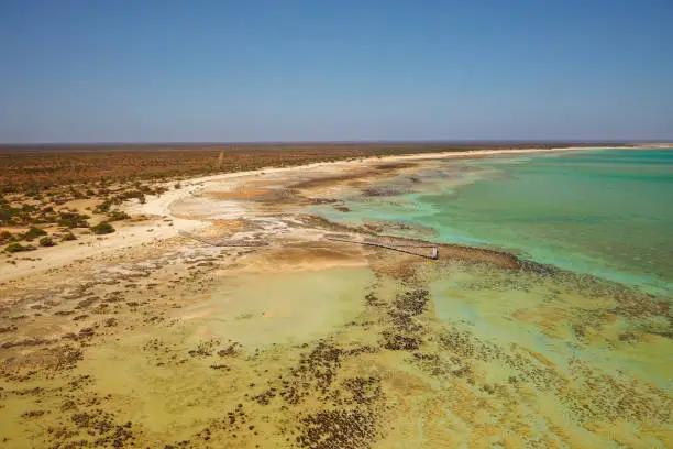 Hamelin Pool Marine Nature Reserve in the UNESCO World Heritagelisted Shark Bay in Western Australia, living marine stromatolites - monuments to life on Earth over 3,500 million years.
