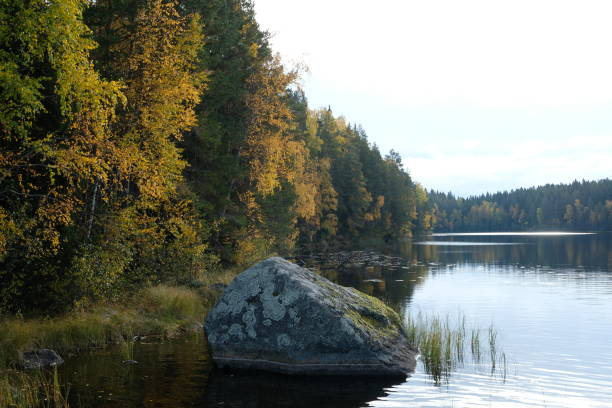 Finland lake nature landscape forest wilderness autumn