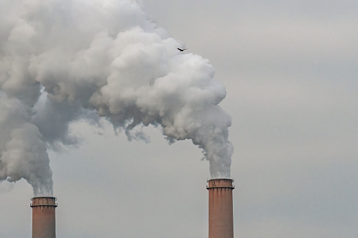 Two industrial smokestacks belching smoke as a buzzard flies overhead