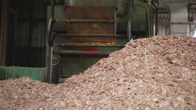 Wood chip fuel for biomass boiler in a factory.