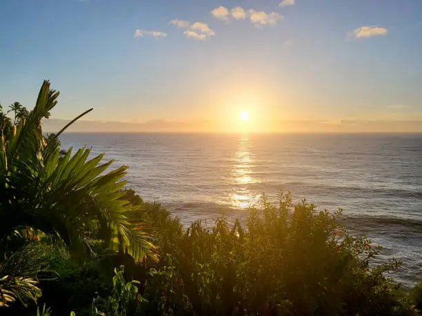 The sun is rising over the ocean on a sunny day in Hilo, Hawaii.