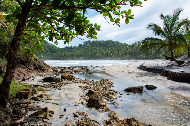 istock nature landscape, no people, sand trees and the Atlantic ocean 1507539726