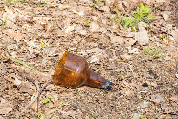 istock a plastic bottle lies on grass in nature thrown away like garbage 1507565844