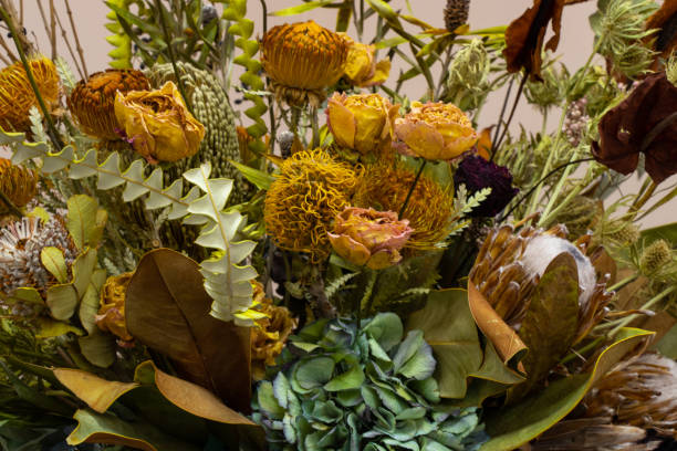 istock bouquet of different dried flowers 1507601417