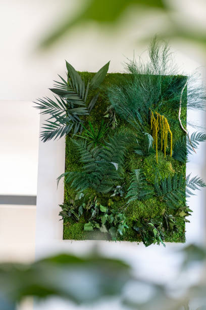 istock stabilized plant wall Jungle with flat moss and foliage 1507606166