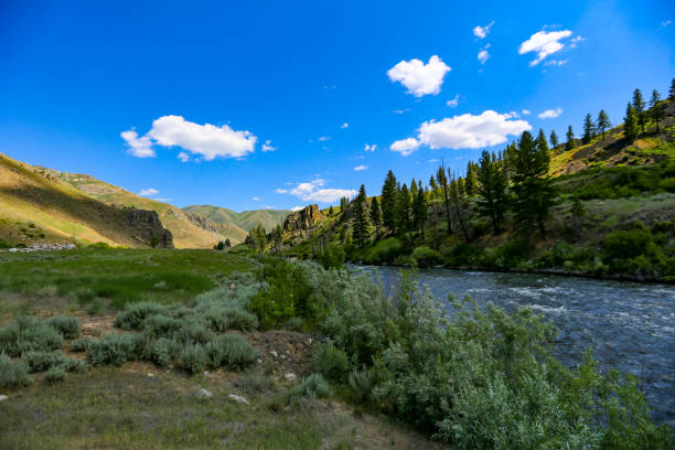 istock The South Fork of the Boise River, Idaho 1507653054