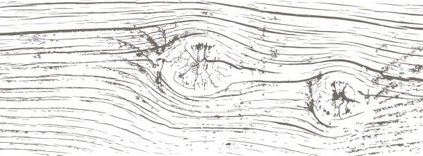 Vector illustration of Texture of a cracked knotted wooden log