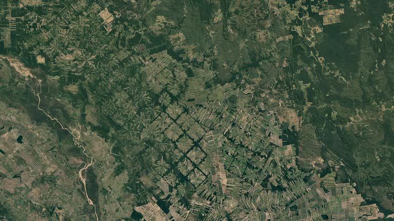 Deforestation in Bolivia: A Time-Lapse from Space (1985-2020)