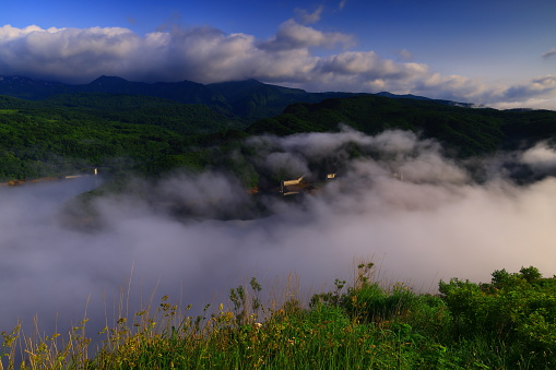 sunrise sea of clouds