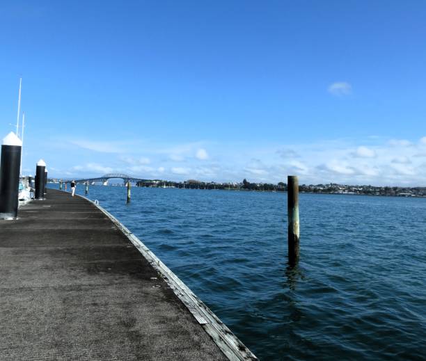 istock Marina pier and the harbour bridge AKL 1507827556