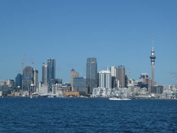 Auckland city, nz A nice view of our famous city. Waitemata Harbor stock pictures, royalty-free photos & images