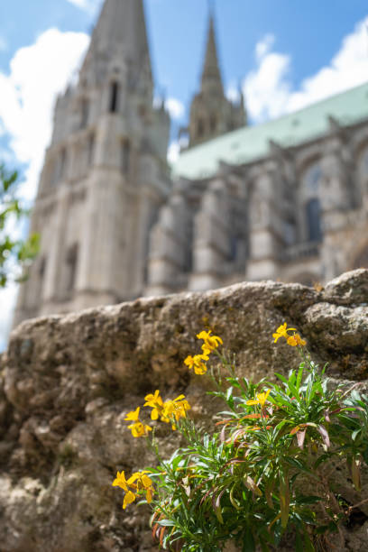 Floral bloom outside cathedral stock photo